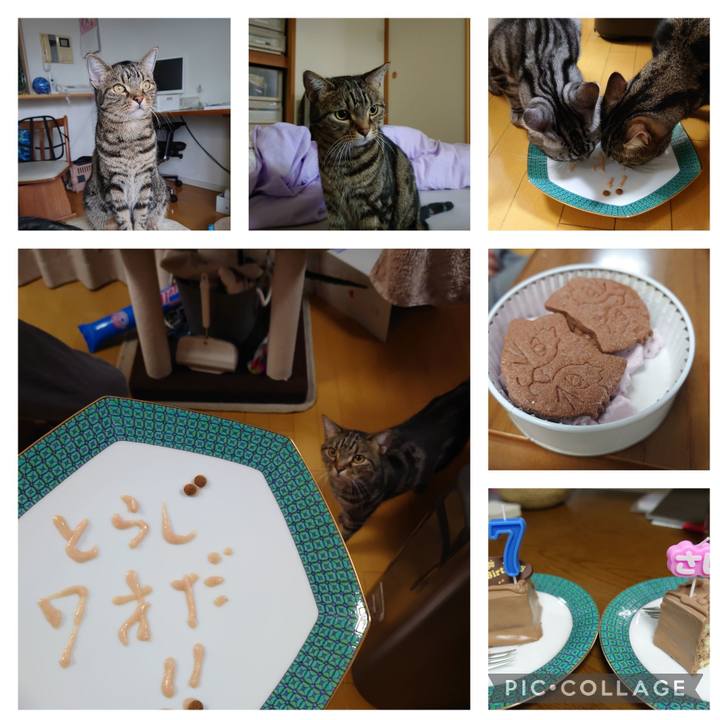 5707e868 aa97 46cc a2d1 19bb34928bc4 1646055007264