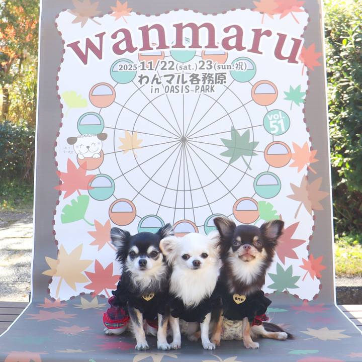 5707e8d1 0f37 4ae2 9e92 afdc97f7e598 1764027368034