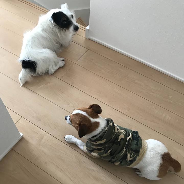 5707eb8e cb9b 416b 953f 3ff83dcfafd9 1528594430483