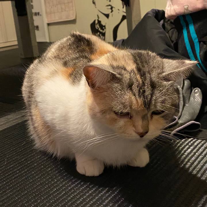 5707ede2 ab64 45f9 a42c 843fec224de3 1585707541681