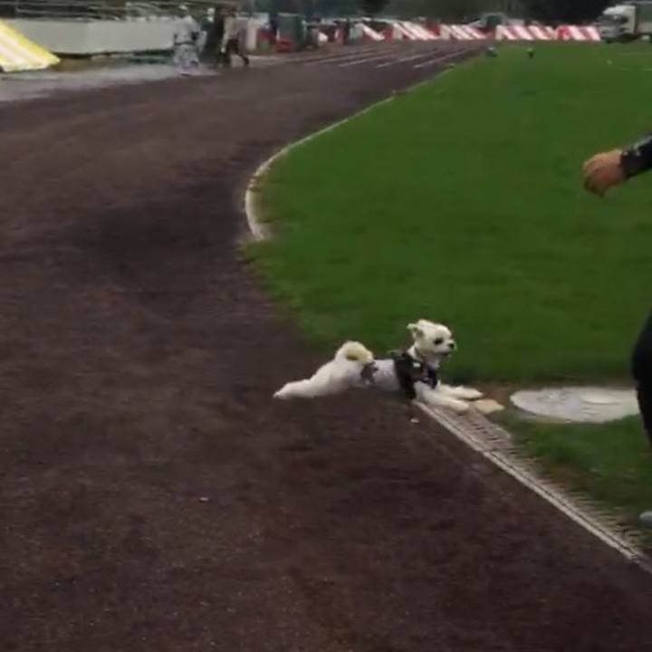 5707f0e3 1ef5 4903 bfcc 07574ee6f5f1 1507986299057