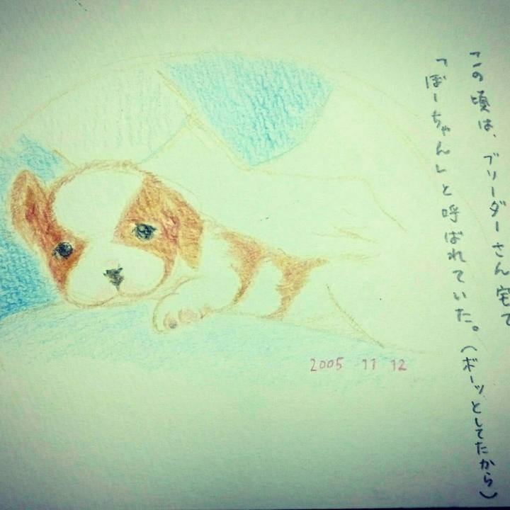 570813fe d7bb 4b49 8483 5a9119df9c78 1542714606804