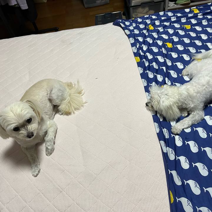 57083022 7902 41e6 a1f3 2c56688369b4 1724677462849