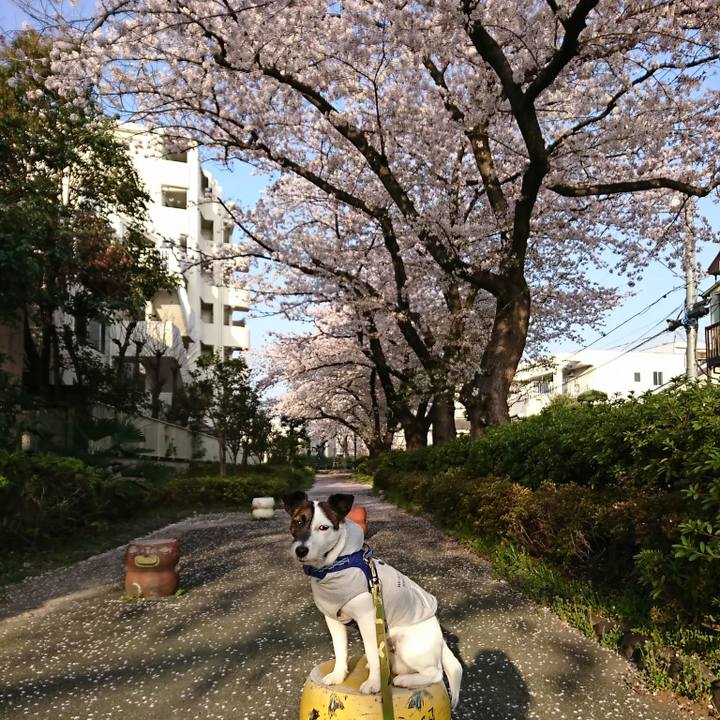 57084b0b 0ce3 4772 b2ed 4fed383f0805 1522274936730