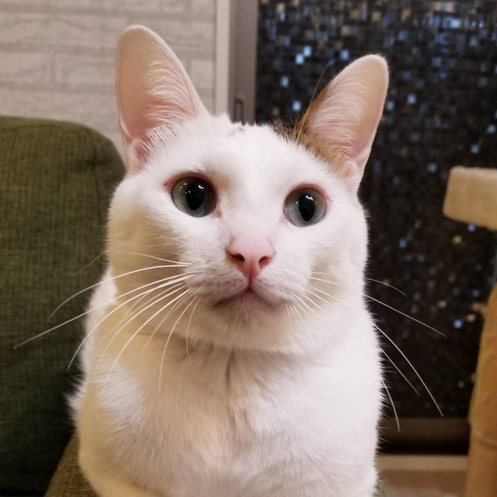 5708542c de99 4998 986b 9d01bc03d1fb 1572097540198