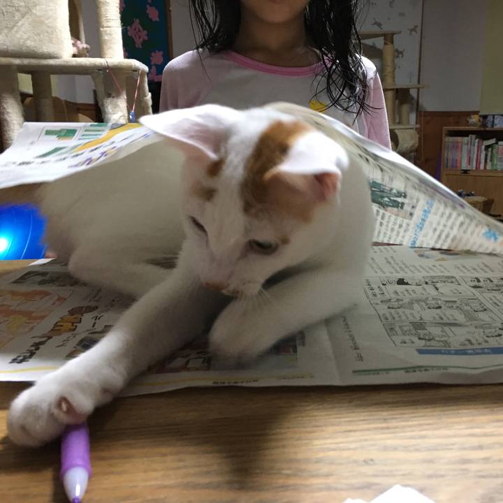 570856c4 5d66 453f 9cdd ac5567b57810 1512403133856