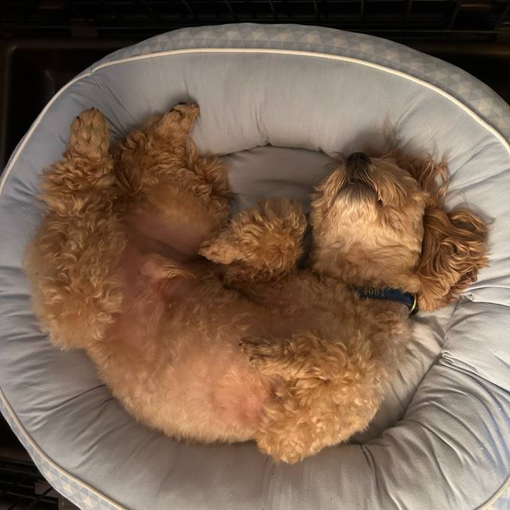 57085cc5 fd43 406f aafb dfdd62c3bd55 1688949460442