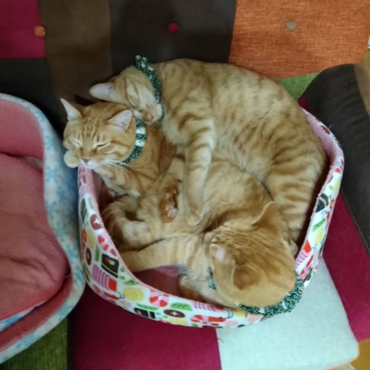 57088a6b 6f33 411c 8fbb 13eff306278a 1579176242079