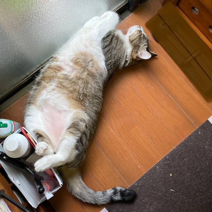 57089afc 14c0 46a0 9594 e2b50fbb8112 1659531256586