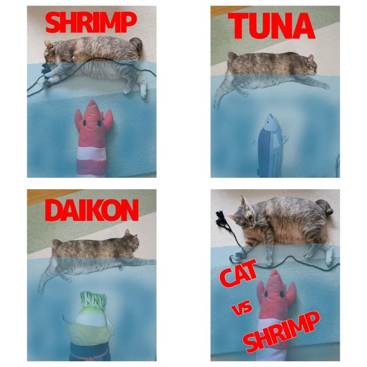 5708b6fc d0e7 49c2 af90 349c6e50704b 1647148298052