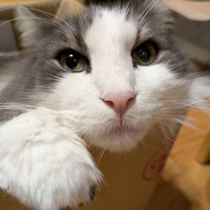 5708e541 0f94 4cb4 9e9c 9880679e58d5 1762516245794