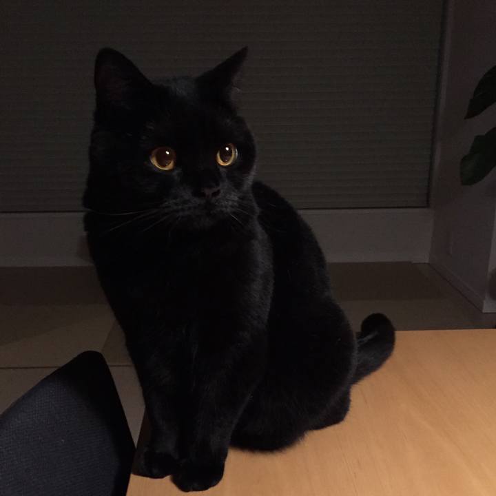 5708f4e7 571f 4b53 9336 d1843701ec28 1555590045965