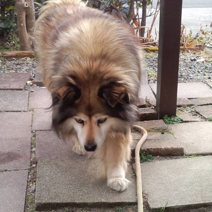 5708f5e6 14f9 4f20 b9eb 5a67b226cc7e 1642237849773