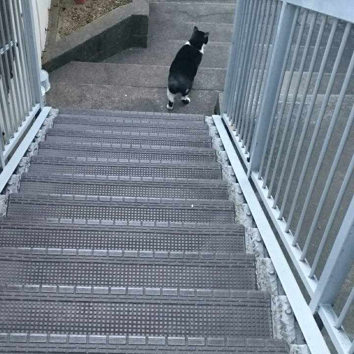 57090a20 cd55 42b8 9877 79803d1b0d91 1512531383595