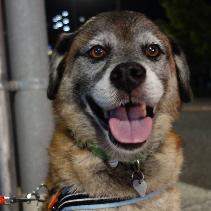 5709106d f39e 46fb 8a8e 061552ef9801 1645493830290