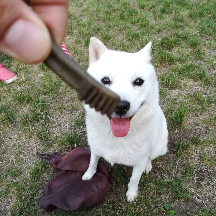 57092d49 ae4b 46fd 8367 ddb86746be4d 1563399490436