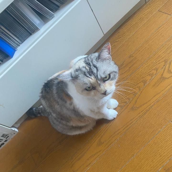 570939f1 5484 4ff3 96cf caca8be4fb43 1718422449849