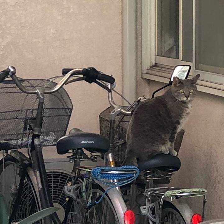 570982d5 e90b 4d6e ae6c dd0ca0a0db0b 1525418306231