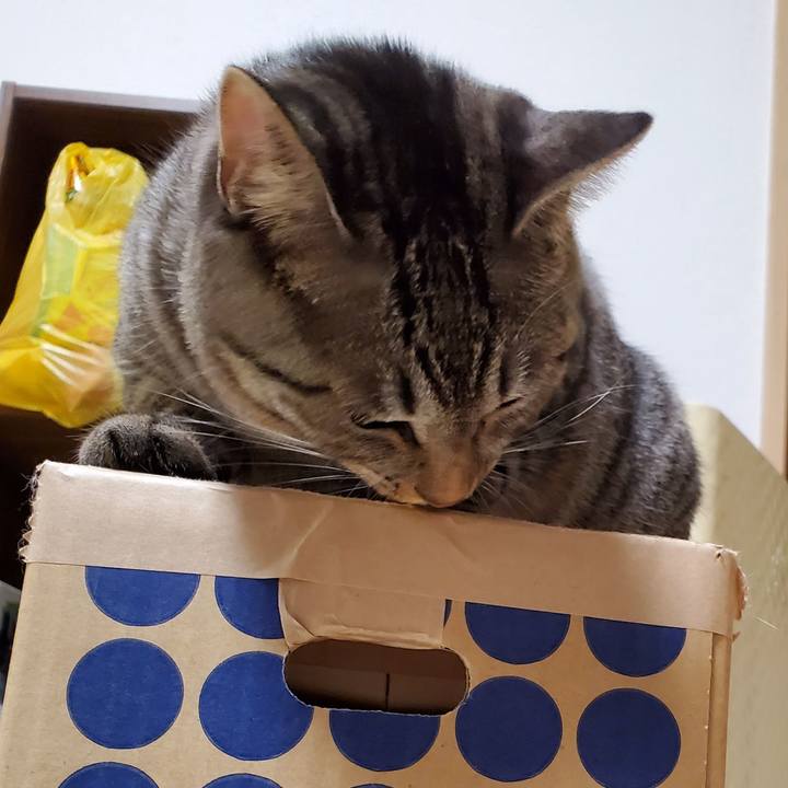 5709b011 2955 4857 ade0 e3659169f2fa 1699890289708