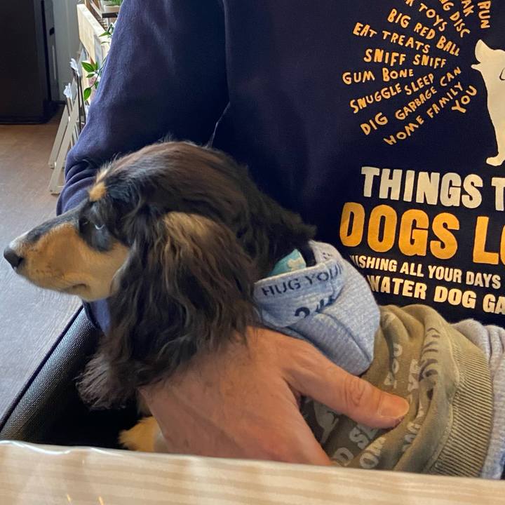 5709e481 4d65 4bdf 87bc df72beced290 1673669488768