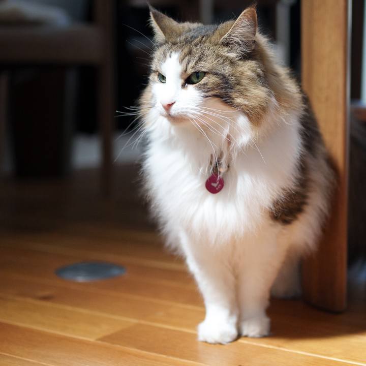 5709e544 7c7b 4fb6 87ec 71a9d8e64dc4 1714700924587