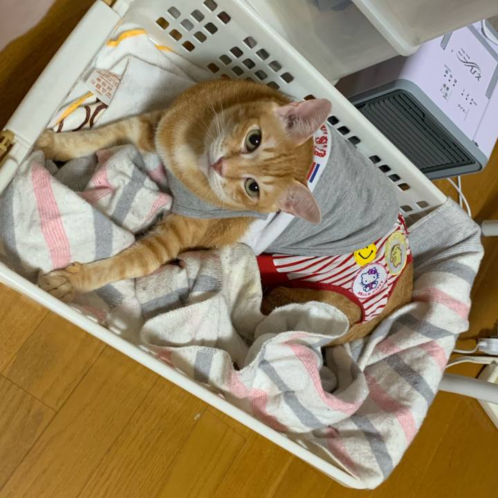 570a01e1 1ff5 4f4e 8082 764bc54780a0 1600510201171