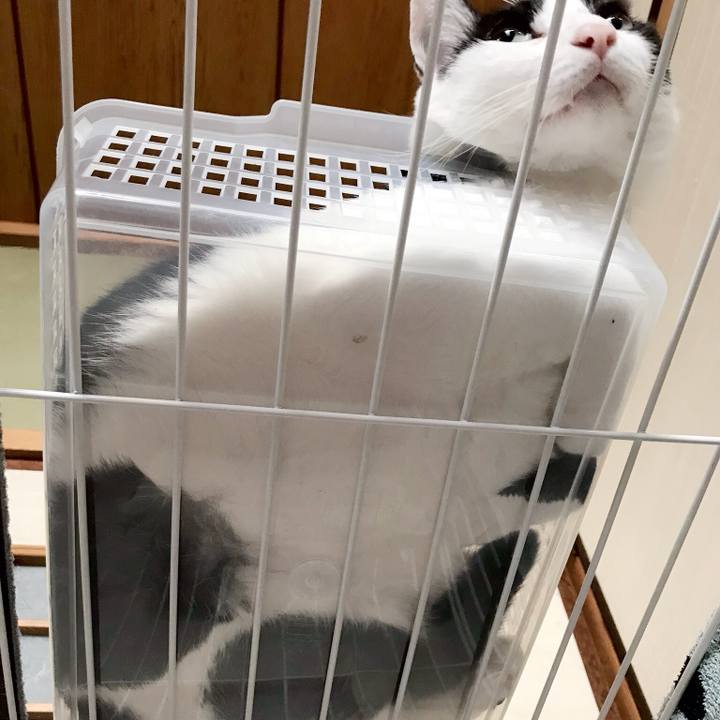 570a0594 ae6a 47c2 8efc 5a78dc699514 1536072279575