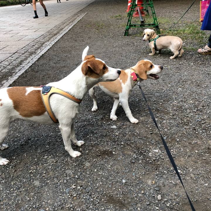 570a7db3 a80a 4dfe 8d06 7af2625f4cd5 1527863409260