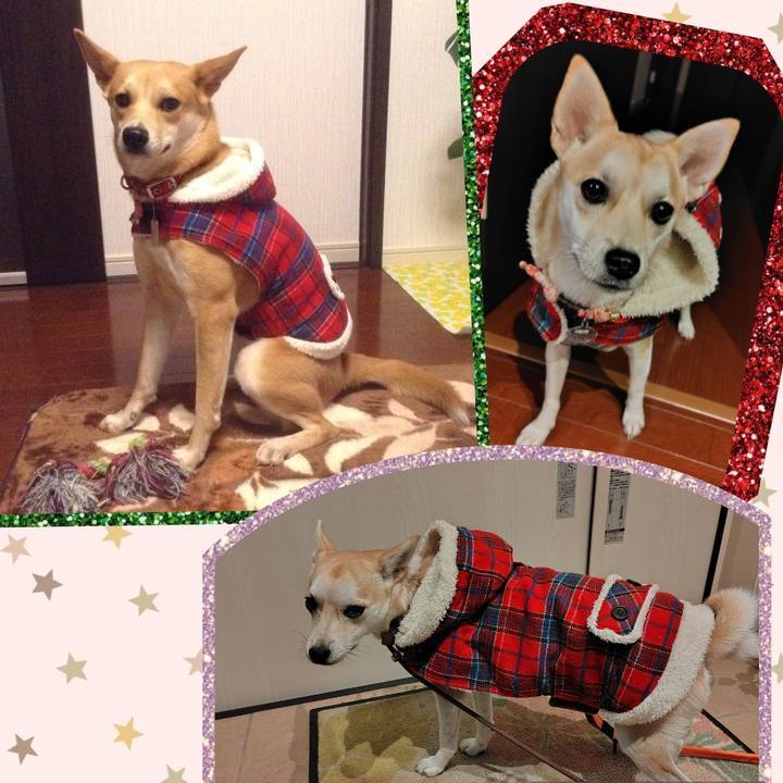 570a7fed e31f 41ad 9bec 87df092e6d95 1761864743468