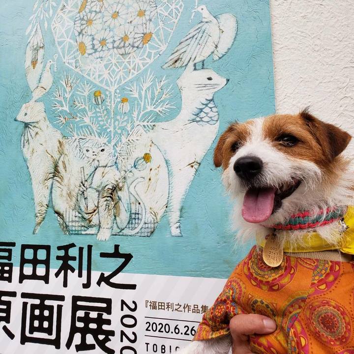 570a8803 0502 425d 8892 d8842cbc2d12 1593328210165