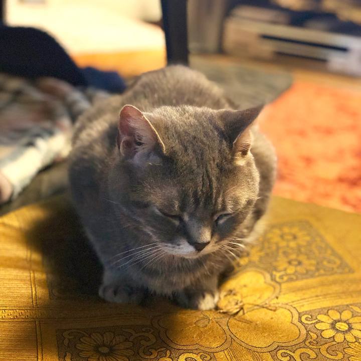 570a9e95 6d85 4cc3 9018 047007f70e7e 1526562334505