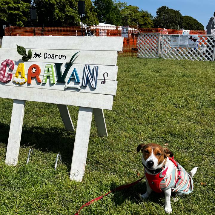 570acb64 063a 4f79 acf5 291afabed876 1745734080891