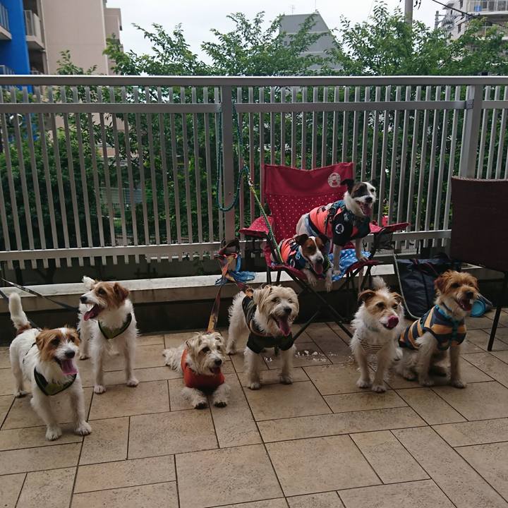 570b1061 7d2e 44da a3a5 c848443d2d9a 1592970852454