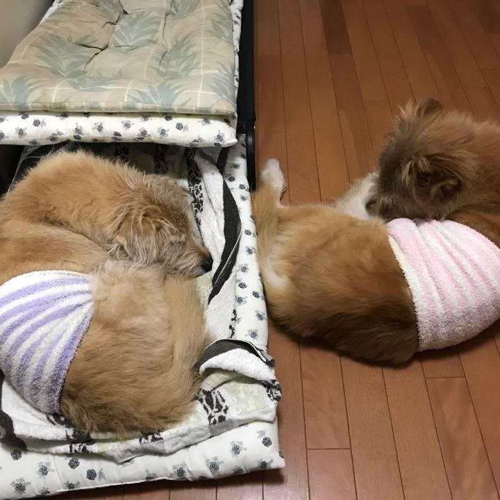 570b188f f956 41da b4c1 c25023533d2f 1606891495626