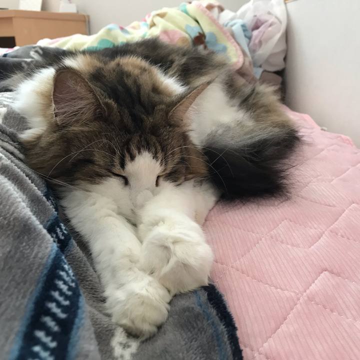 570b19a5 9f44 491e aba1 9a670f6369bf 1638423968950