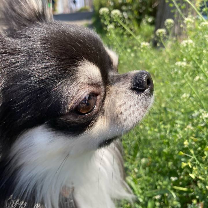 570b1b3f ea4a 458a 9911 6c14d839e3ab 1616816879512