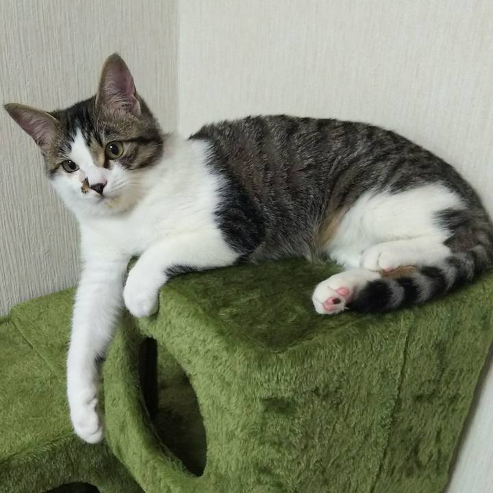 570b5592 5765 4b0f 96a5 0f31165f27ec 1614256378143