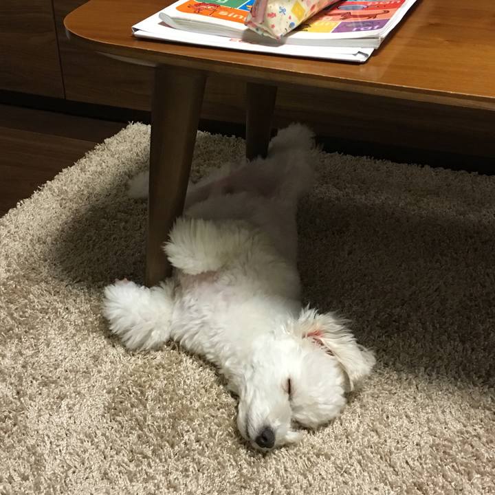 570b5cc0 f310 4b11 9fcc 4a1eee8c6a96 1551747218185