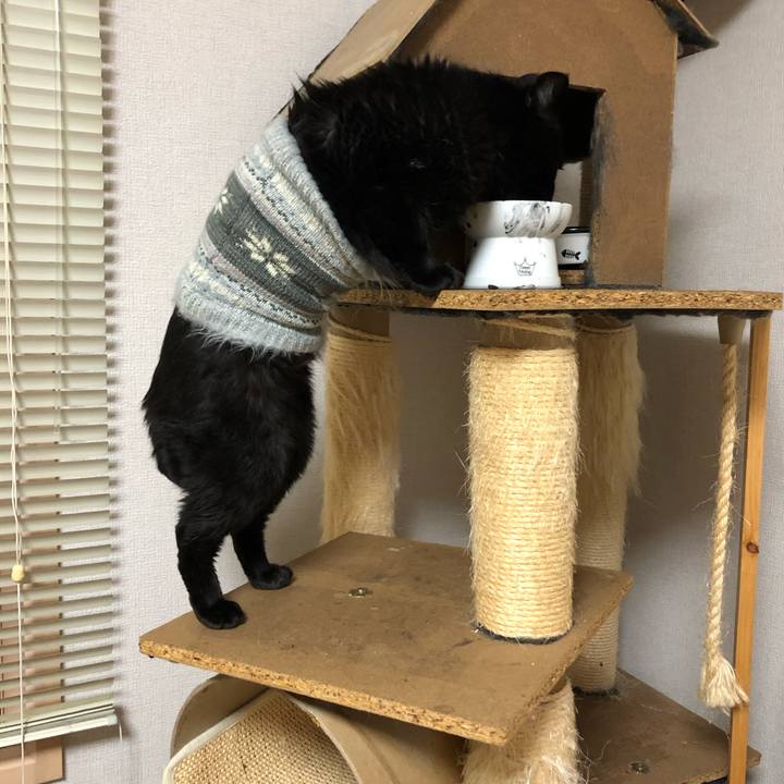 570b6824 5ec1 4818 a5b6 e4067ec77202 1603878026750