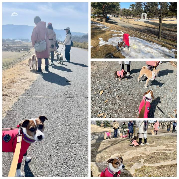 570b70da aac8 491e 9388 7587c2b07b9c 1739693416528