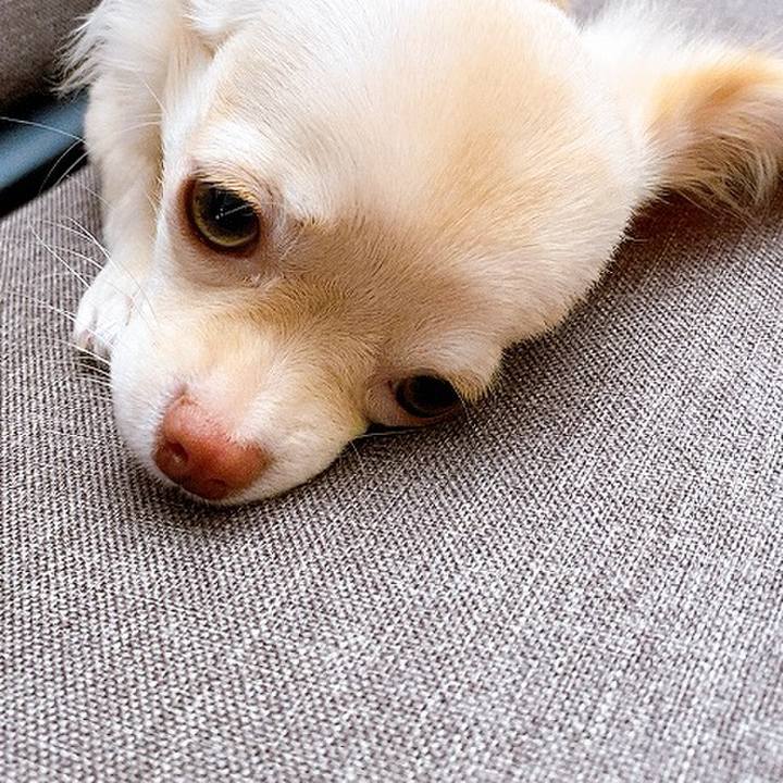 570bb9b9 bde6 4f82 bd5f 81a075d94366 1597995099734