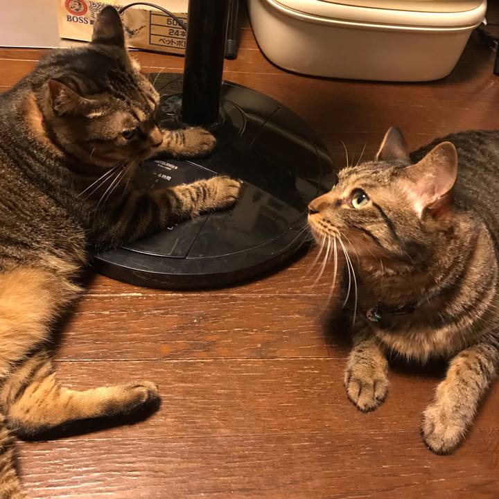 570bc152 3dea 438c 9b9a 6284e981ed21 1565875014191