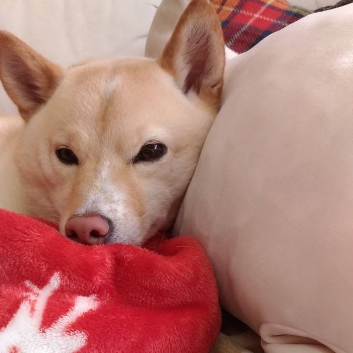 570bdeed c9af 417f bbe5 a729cc31aa04 1584749326481