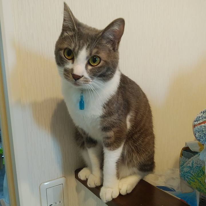 570beb49 5702 430d 99a6 63c657079ea2 1590020985263