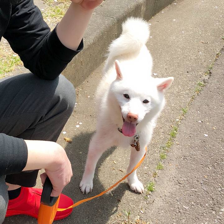 570becf9 31ec 40f6 bd8a f61c566ea3aa 1523193595947