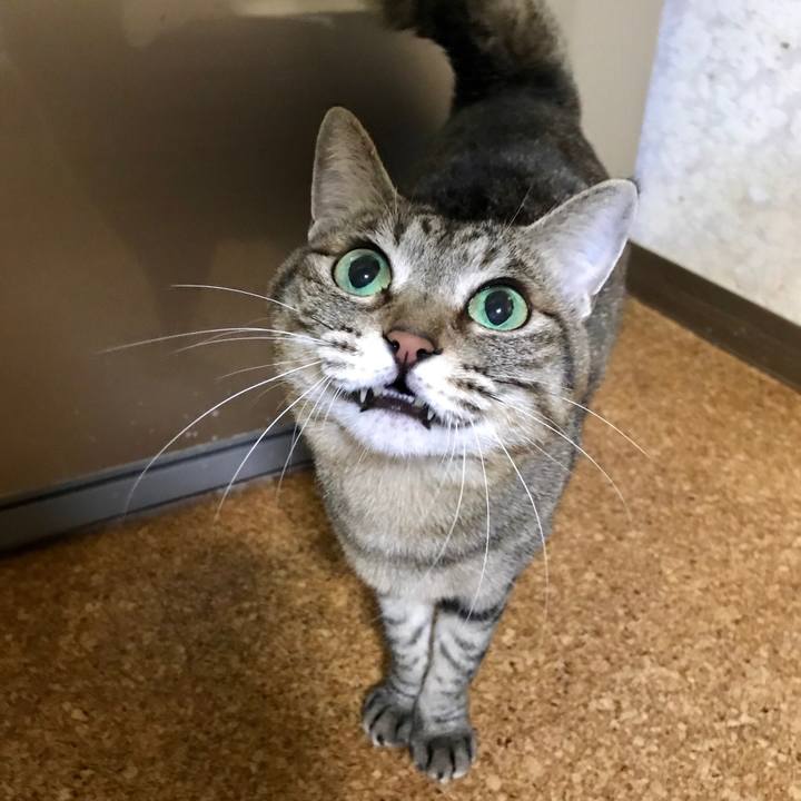 570bf7b2 979c 45ed 8ce9 8da44460c846 1551952317697