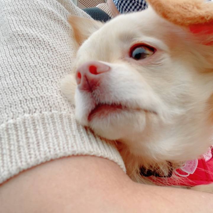 570c13cd 6550 40da af34 5b8eeb3f54b5 1621501185186