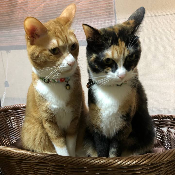 570c3149 4278 4020 9772 b62fc041ea3b 1604718298119