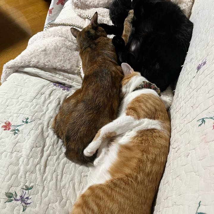 570c96be fa82 4c26 9d2b 8e7e5d89f8f8 1671180700510