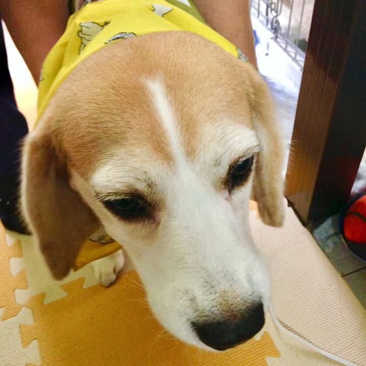 570cb2c2 7282 420f 84c4 1806a555ebd3 1756357986725